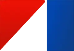American Motors